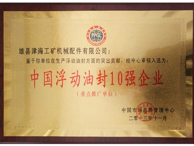 中國浮動油封10強企業